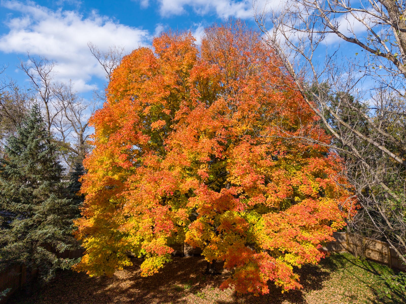 Drone photography by Jay Trandahl — 12